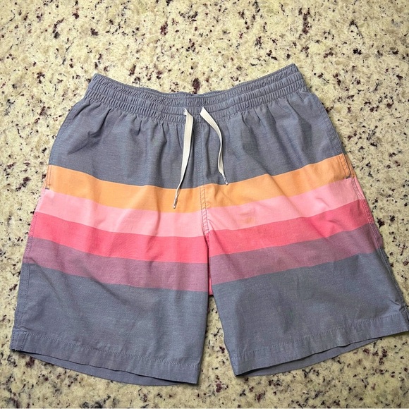 Chubbies Classic Size Small Gray Sunset Stripe Swim Trunks Board Shorts Men’s - Picture 1 of 7
